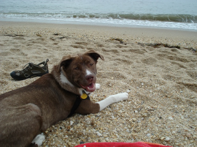 Maggie at Sunset Beach